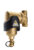 Spirotech Spirotrap MB3 vuilafscheider m. magneet 1" | 8717811021514